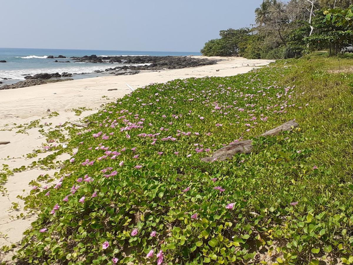 Lanta Daisy Koh Lanta