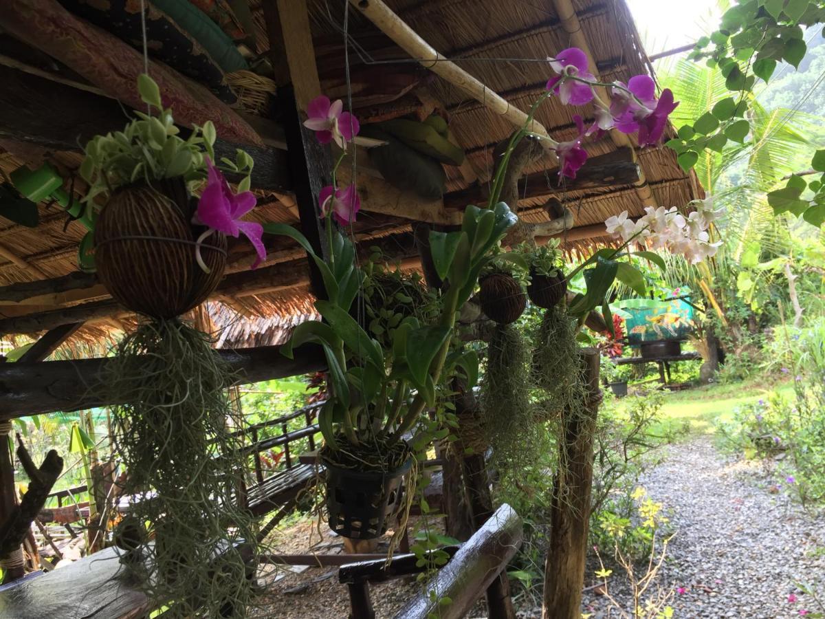 Guest house Easylife
