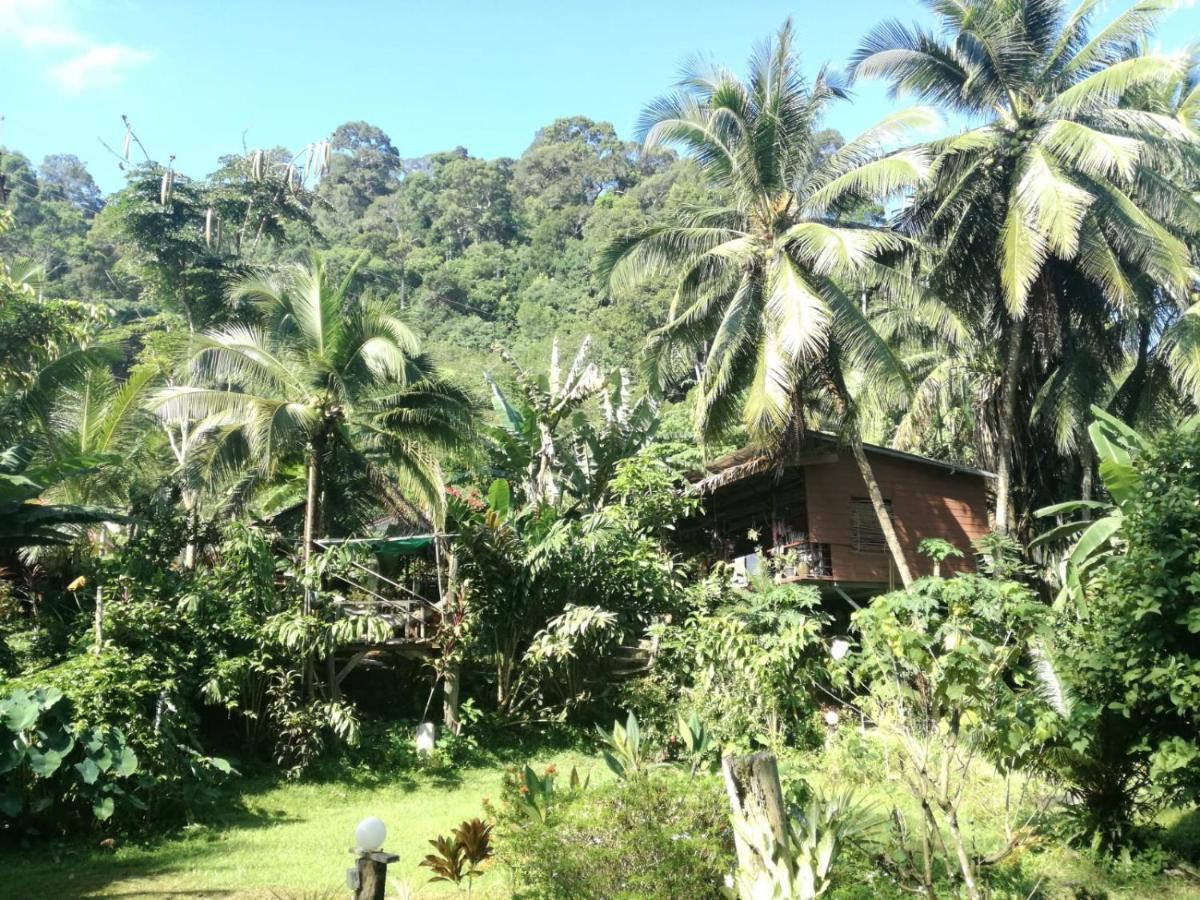 Easylife Guest house