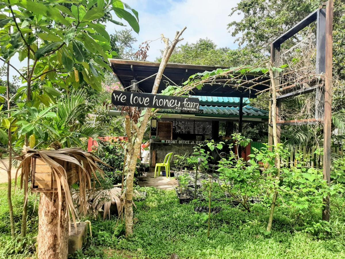Resort Phangan Farm Stay Eco Organic Farming