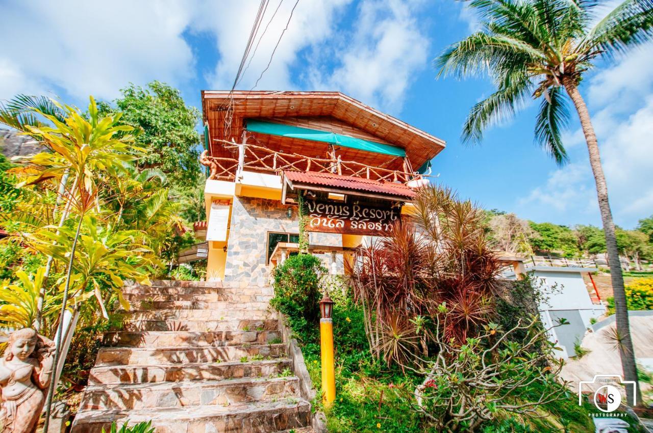 Venus Guest house 3*